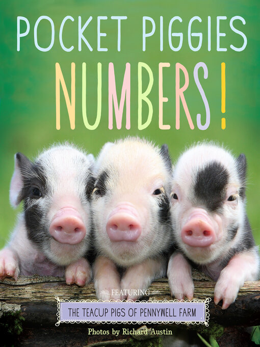 Title details for Pocket Piggies Numbers! by Richard Austin - Available